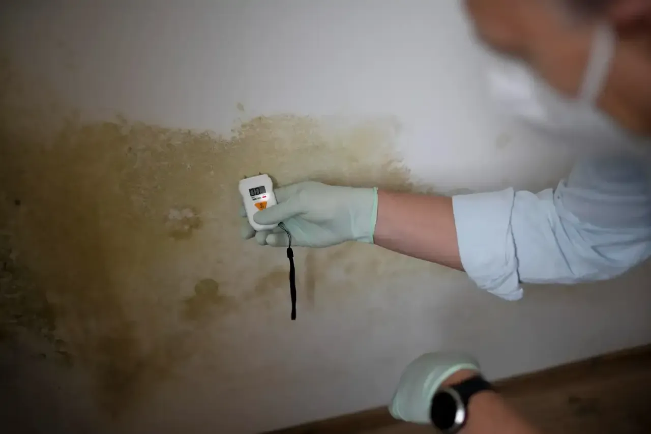 NAMP Certified Mold Inspection in Lapeer and Detroit, MI