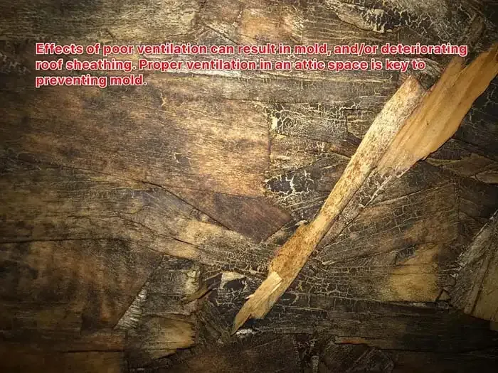 Deteriorated attic roof sheathing damaged by poor attic ventilation